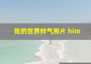 我的世界帅气照片 him